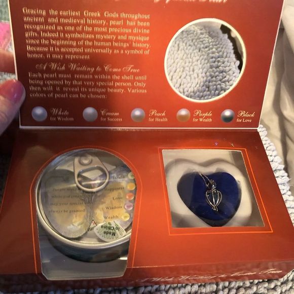 Oyster with pearl/ silver cage necklace - Picture 3 of 5